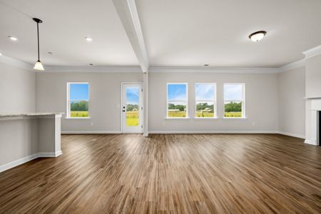 New construction Single-Family house 117 Townsend Wy, Unit 229, Chapel Hill, TN 37034 plan The Harrington - image 18
