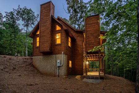 New construction Single-Family house 58 Wolf Creek Dr, Mineral Bluff, GA 30559 - image