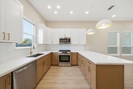 Griggs Landing by Prosperity Homes in Houston - image 15