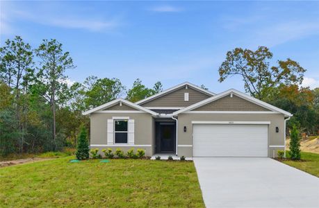 New construction Single-Family house 16011 Scaup Duck Ave, Weeki Wachee, FL 34614 - image
