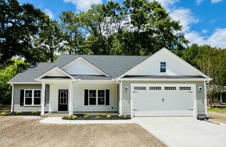 New construction Single-Family house 101 Marie Ave, Goldsboro, NC 27530 - image