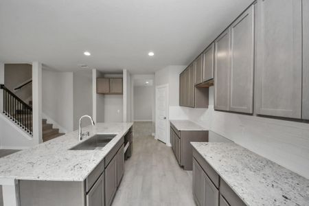 New construction Single-Family house 15006 Royal Leaf Dr, Cypress, TX 77429 plan 270 - image 17