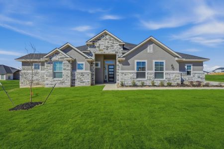 New construction Single-Family house 9010 Arroyo Grv, San Antonio, TX 78263 plan Mackenzie - image