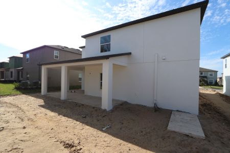 New construction Single-Family house 12168 Hilltop Farms Dr, Dade City, FL 33525 Malibu- photo 80 80