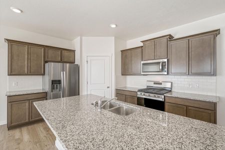 New construction Single-Family house 4837 Cattle Cross Ln, Castle Rock, CO 80104 null- photo 10 10