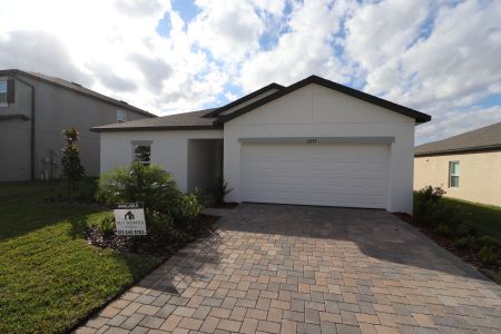 New construction Single-Family house 12193 Hilltop Farms Dr, Dade City, FL 33525 Sentinel- photo 140 140