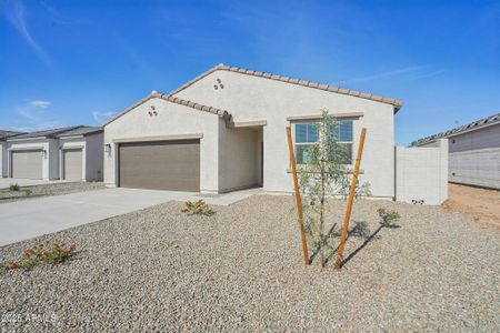New construction Single-Family house 46834 W Old Timer Rd, Maricopa, AZ 85139 plan Sunflower - image