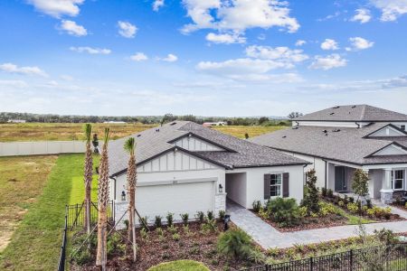 New construction Single-Family house 11843 Hilltop Farms Dr, Dade City, FL 33525 Sentinel- photo 88 88