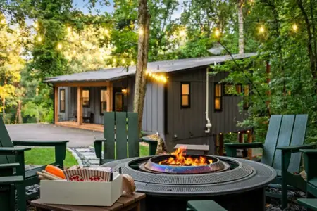 New construction Single-Family house 68 Mallard Point Rd, Morganton, GA 30560 - image