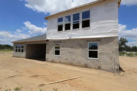 New construction Single-Family house 3555 Wolves Creek Pl, Apopka, FL 32712 plan Brookhaven Sl - image