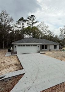 New construction Single-Family house 8 Bay Pass Ter, Ocklawaha, FL 32179 - image
