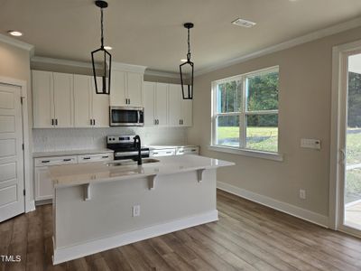 New construction Single-Family house 144 Gin Branch Rd, Wendell, NC 27591 null- photo 4 4