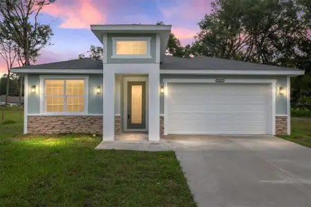 New construction Single-Family house 13871 Se 44Th Ave, Summerfield, FL 34491 - image