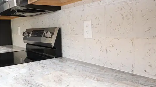 New construction Single-Family house 12085 Harris Hawk Rd, Brooksville, FL 34614 - image 8