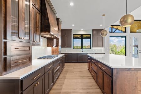 New construction Single-Family house 2104 Eagles Ridge Dr, Hudson Oaks, TX 76087 - image 14
