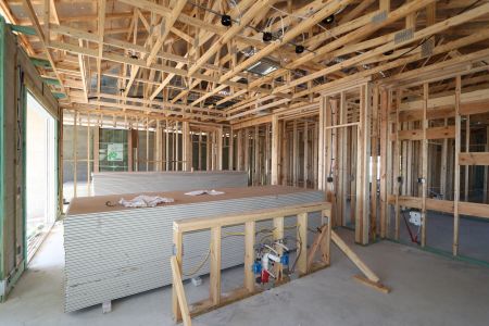 New construction Single-Family house 3150 Adams Cross Dr, Zephyrhills, FL 33540 Miranda- photo 34 34