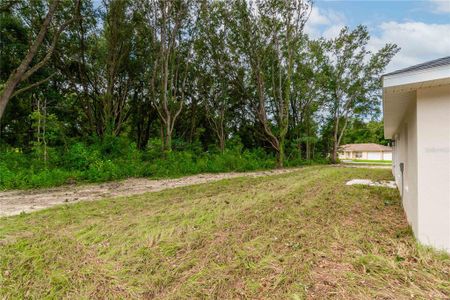 New construction Single-Family house 1 Pine Trace Trl, Ocala, FL 34472 null- photo 37 37