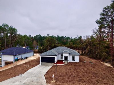 New construction Single-Family house 15777 Sw 55Th Avenue Rd, Ocala, FL 34473 - image