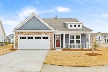 New construction Single-Family house 120 Black Stilt Wy, Summerville, SC 29483 - image