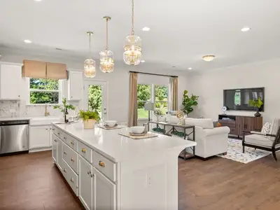 New construction Single-Family house 170 Stonewater Dr, Stanfield, NC 28163 plan Declan - image 5