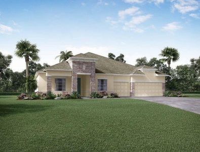 New construction Single-Family house 31218 County Rd 435, Mount Plymouth, FL 32776 plan Livorno in Sorrento & Mount Dora - image