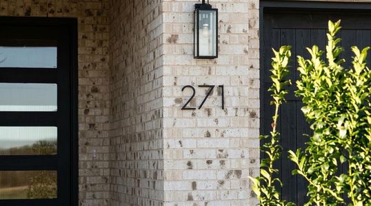 New construction Single-Family house 271 Lantern Ridge Dr, Aledo, TX 76008 - image 3