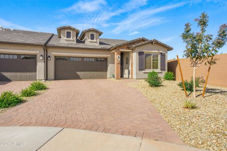 New construction Duplex house 17281 W Via Lindo Ct, Surprise, AZ 85387 plan Dawn - image