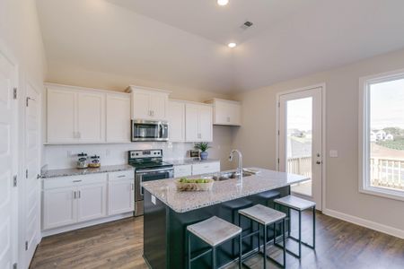 New construction Single-Family house 1003 Fortitude Trl, Chattanooga, TN 37421 plan Hampshire - image 12