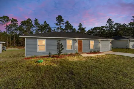 New construction Single-Family house 6 Sw Tree Top Rd, Dunnellon, FL 34431 - image