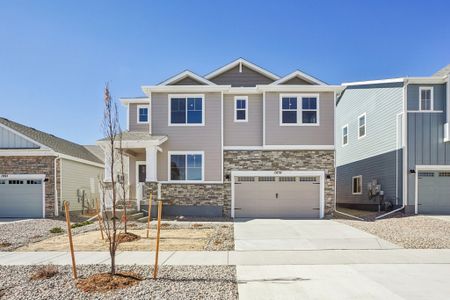 New construction Single-Family house 13759 Daffodil Wy, Parker, CO 80108 plan Willow - image