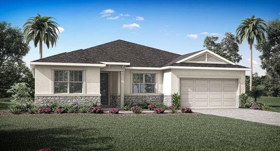 New construction Single-Family house 9623 Peace Dr, Orlando, FL 32832 plan Honeysuckle - image