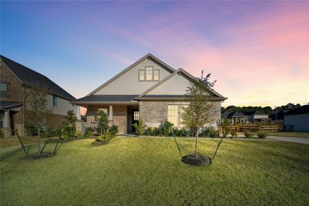 New construction Single-Family house 630 Running Iron Ln, Magnolia, TX 77354 plan Cameron - image