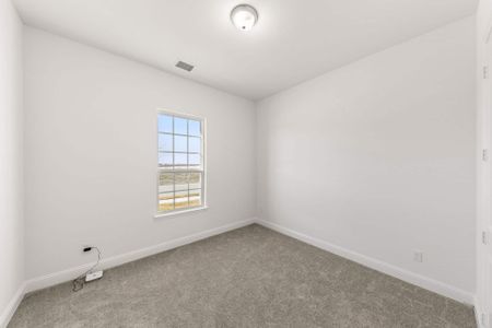 New construction Single-Family house 365 ELK Dr, Fate, TX 75189 plan Belton - image 14