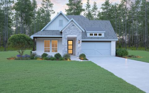 New construction Single-Family house 161 Peninsula Point Dr, Montgomery, TX 77356 plan The Denali - image
