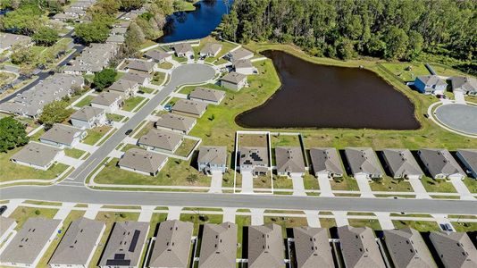 New construction Single-Family house 2736 Dumont Ln, Tavares, FL 32778 HAYDEN- photo 4 4