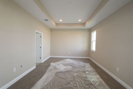 New construction Single-Family house 38357 Palomino Dr, Dade City, FL 33525 Picasso Bonus- photo 24 24