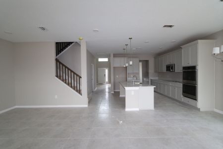 New construction Single-Family house 38338 Tobiano Loop, Dade City, FL 33525 Mira Lago- photo 103 103