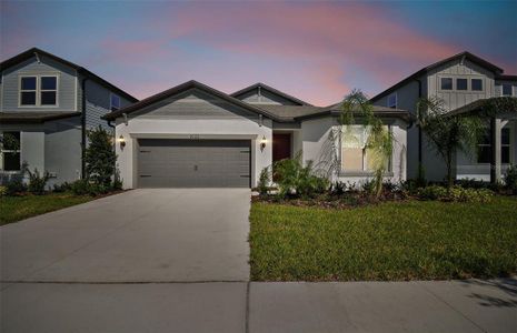 New construction Single-Family house 3022 Forest Meadow Ave, Valrico, FL 33594 Heston- photo 17 17