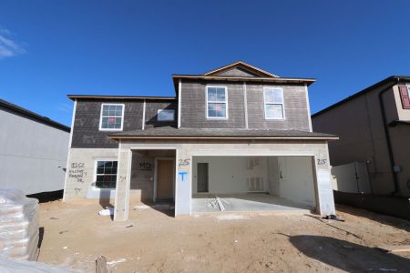 New construction Single-Family house 12252 Hilltop Farms Dr, Dade City, FL 33525 Cabo- photo 64 64