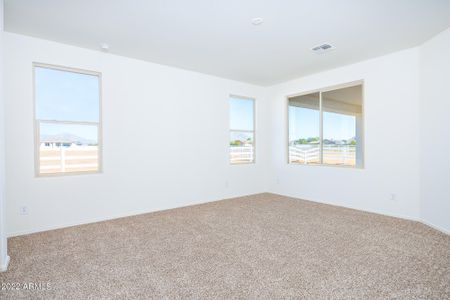 New construction Single-Family house 10476 W Appaloosa Trl, Casa Grande, AZ 85194 null- photo 18 18