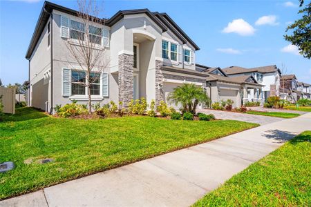 New construction Single-Family house 7276 Notched Pine Bnd, Wesley Chapel, FL 33545 null- photo 6 6