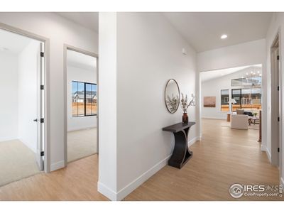 New construction Single-Family house 165 Boxwood Dr, Windsor, CO 80550 - image 6