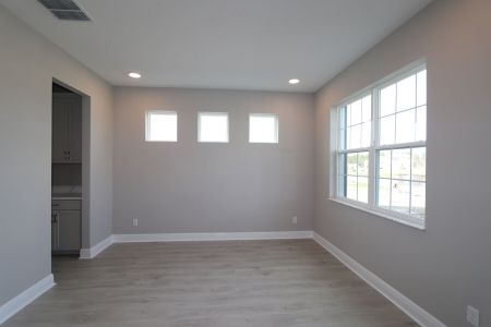 New construction Single-Family house 1787 Drummond Pt, Zephyrhills, FL 33541 Sonoma II- photo 127 127