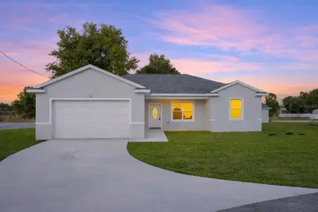 New construction Single-Family house 43 Juniper Pass Trl, Ocala, FL 34480 - image