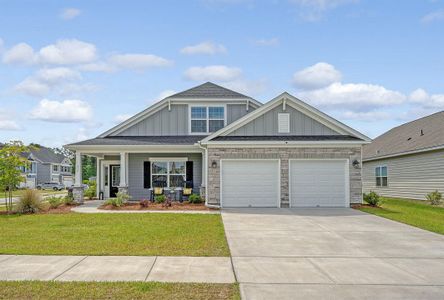 New construction Single-Family house 317 Fiddleback Dr, Summerville, SC 29486 Jensen- photo 0