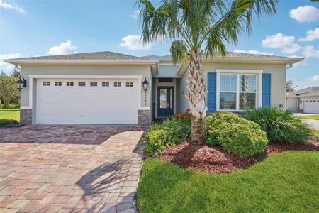 New construction Single-Family house 10295 Hawks Gully Ct, Oxford, FL 34484 - image
