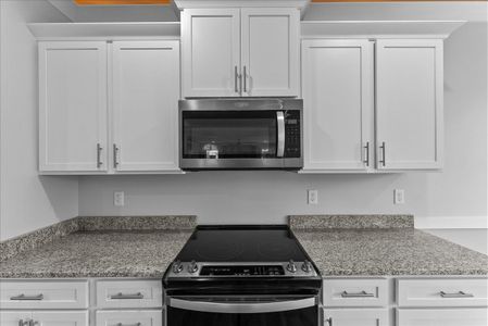 New construction Single-Family house 240 Hart Cut Rd, Slater-Marietta, SC 29661 plan Emilia Elite - image 13