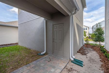 New construction Single-Family house 16294 Honey Harvest St, Winter Garden, FL 34787 null- photo 52 52