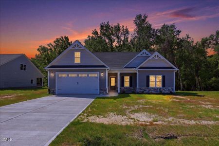 New construction Single-Family house 400 Creeks Edge Dr, Pikeville, NC 27863 - image