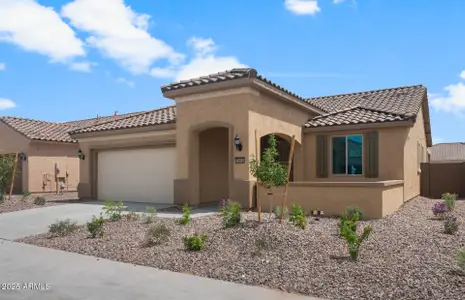 New construction Single-Family house 7691 W Cactus Wren Wy, Florence, AZ 85132 plan Sanctuary - image